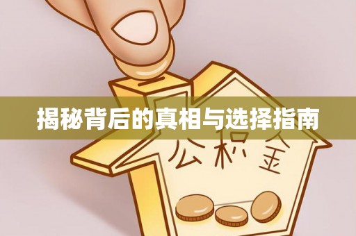攸县揭秘背后的真相与选择指南