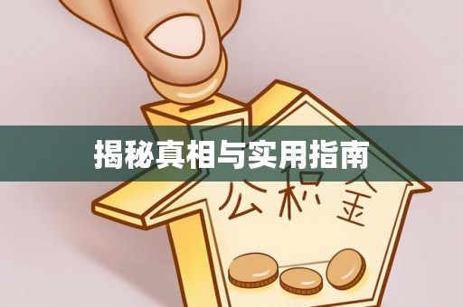 攸县揭秘真相与实用指南
