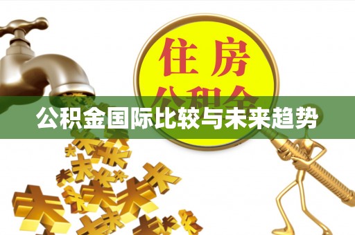 攸县公积金国际比较与未来趋势