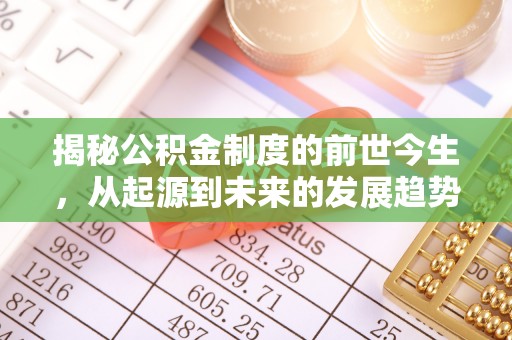 攸县揭秘公积金制度的前世今生，从起源到未来的发展趋势