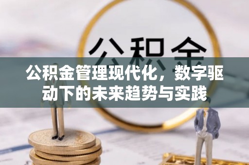 攸县公积金管理现代化，数字驱动下的未来趋势与实践