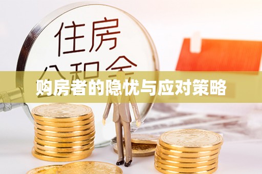 攸县购房者的隐忧与应对策略