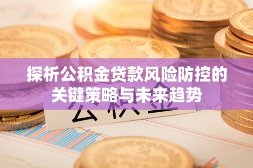 攸县探析公积金贷款风险防控的关键策略与未来趋势