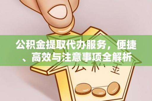 攸县公积金提取代办服务，便捷、高效与注意事项全解析