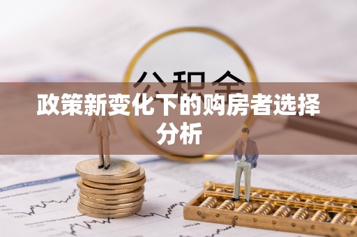 攸县政策新变化下的购房者选择分析