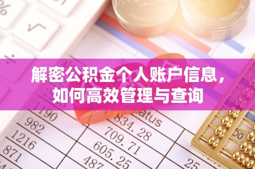 攸县解密公积金个人账户信息，如何高效管理与查询