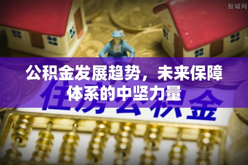 攸县公积金发展趋势，未来保障体系的中坚力量