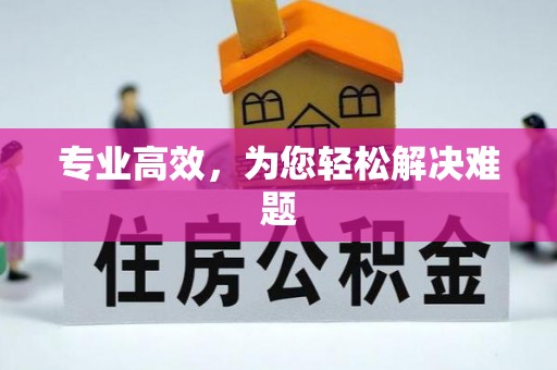攸县专业高效，为您轻松解决难题