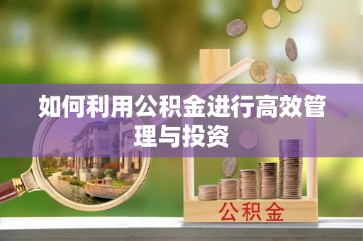 攸县如何利用公积金进行高效管理与投资