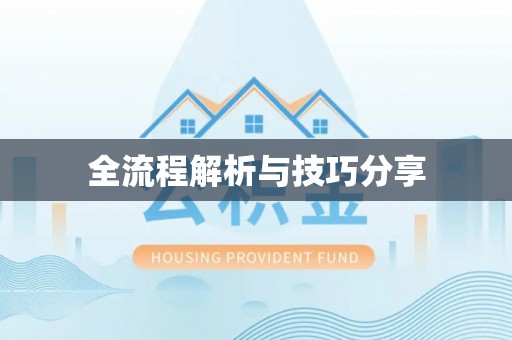 攸县全流程解析与技巧分享
