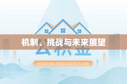 攸县机制、挑战与未来展望