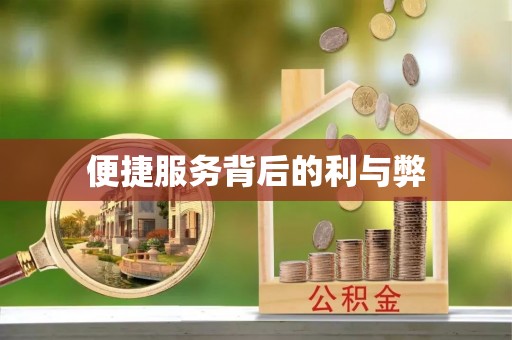 攸县便捷服务背后的利与弊