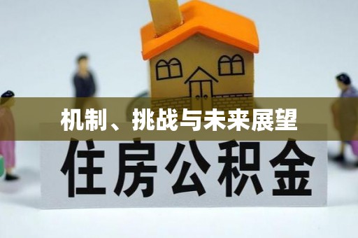 攸县机制、挑战与未来展望